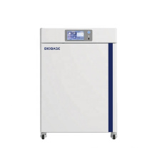 BIOBASE CHINA 50L Air Jacket CO2 Incubator BJPX-C50 With High Quantity and Cheap Price